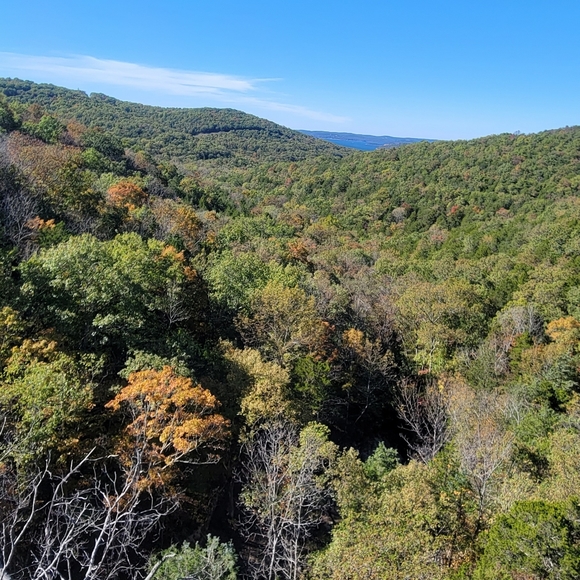 Meet your Posher, Jill - Picture 11 of 13